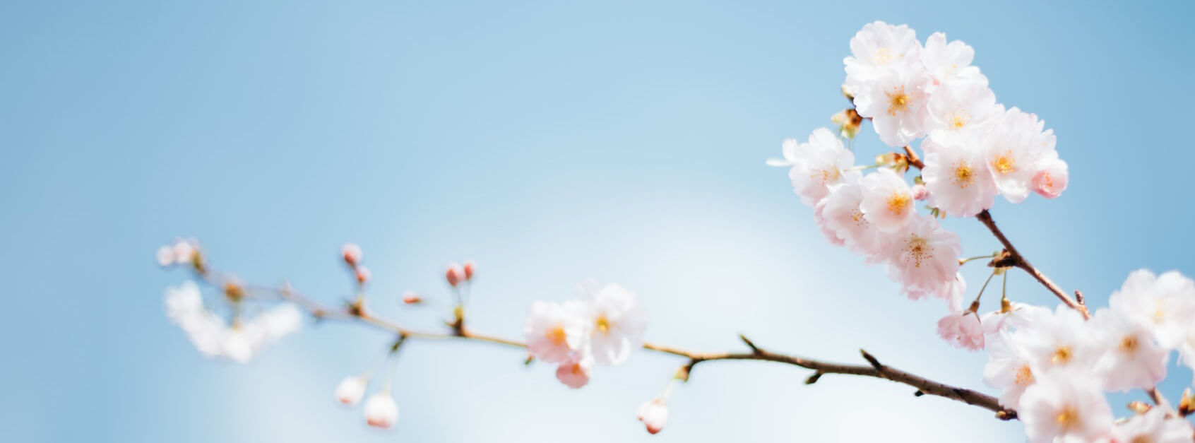 一吃就胖小艳蕾